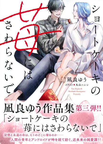 interlude 美しい彼 番外編集/凪良ゆう - 販売書籍｜TSUTAYA レンタル