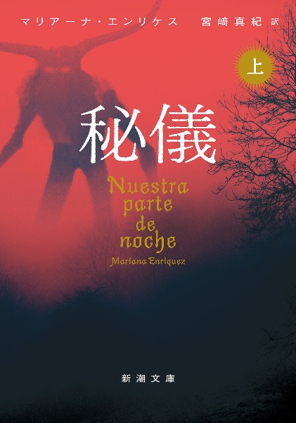 寝煙草の危険/マリアーナ・エンリケス - 販売書籍｜TSUTAYA レンタル