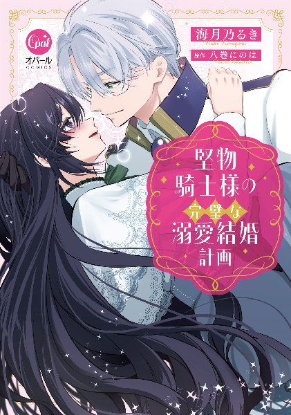 堅物騎士様の完璧な溺愛結婚計画