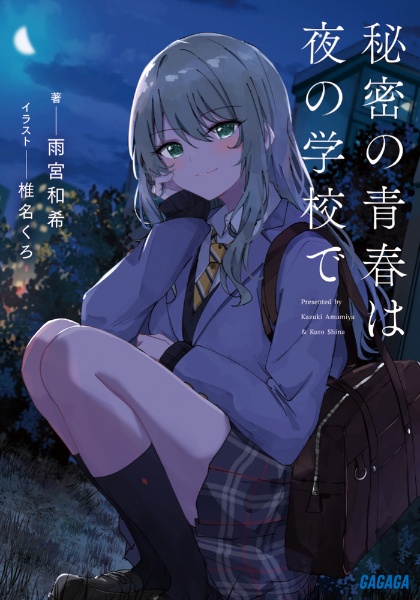 秘密の青春は夜の学校で