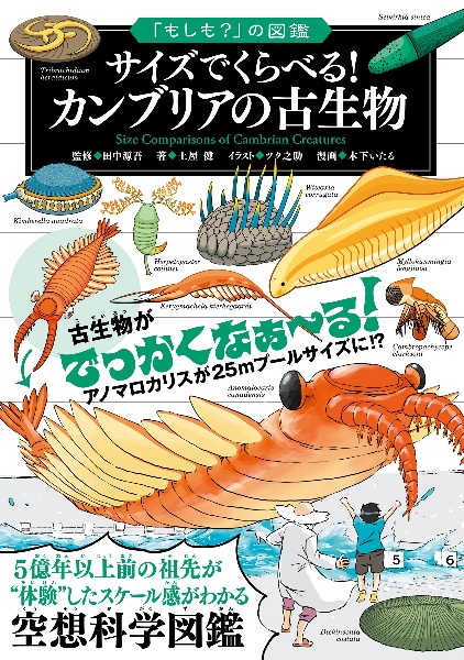 エディアカラ紀・カンブリア紀の生物 生物ミステリーPRO1/土屋健