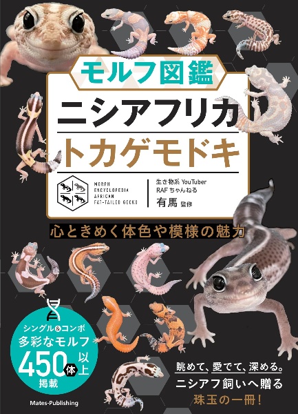 モルフ図鑑ニシアフリカトカゲモドキ 心ときめく体色や模様の魅力/RAF