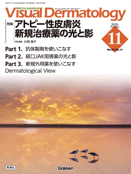 Visual D. 2025年11月号 Vol.24 No.11