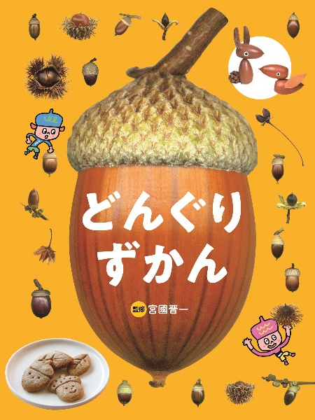 ♡どんぐり様ご確認♡ どんぐりビジョン - 有限会社サンポート