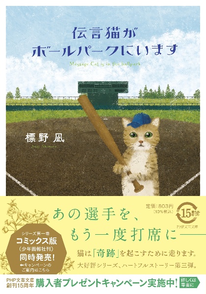 伝言猫がボールパークにいます