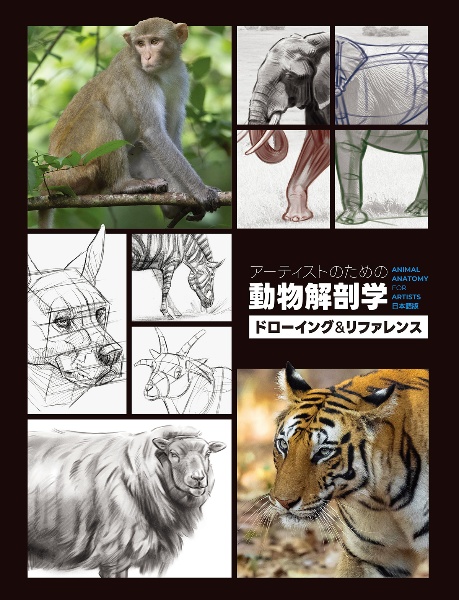 アーティストのための動物解剖学 ドローイング&リファレンス