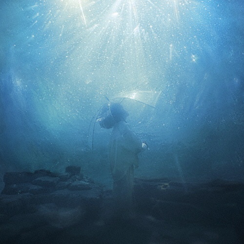 海いっぱいに降りしきる星