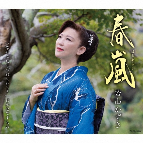 春嵐/若山かずさ - レンタルCD｜TSUTAYA レンタル・販売 商品在庫検索