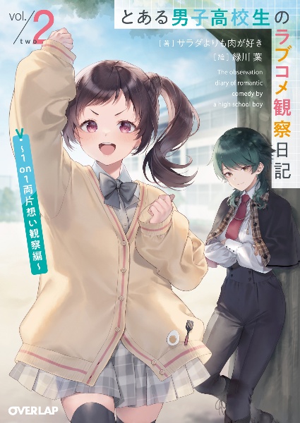 とある男子高校生のラブコメ観察日記