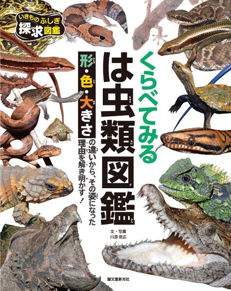 くらべてみる は虫類図鑑 形・色・大きさの違いから、その姿になった理由を解き明かす