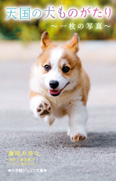 天国の犬ものがたり 一枚の写真