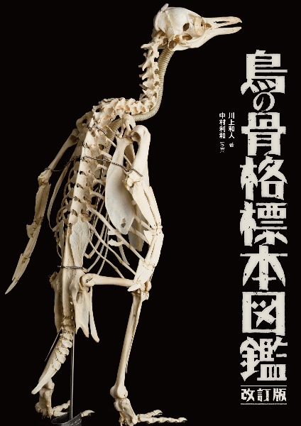 鳥の骨格標本図鑑 改訂版