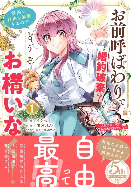 お前呼ばわりで婚約破棄?隣国で自由を謳歌するのでどうぞお構いなく!~追放令嬢、実は最強精霊師でした~（1）