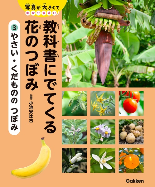 教科書にでてくる 花のつぼみ やさい・くだものの つぼみ 特別堅牢製本図書(3)