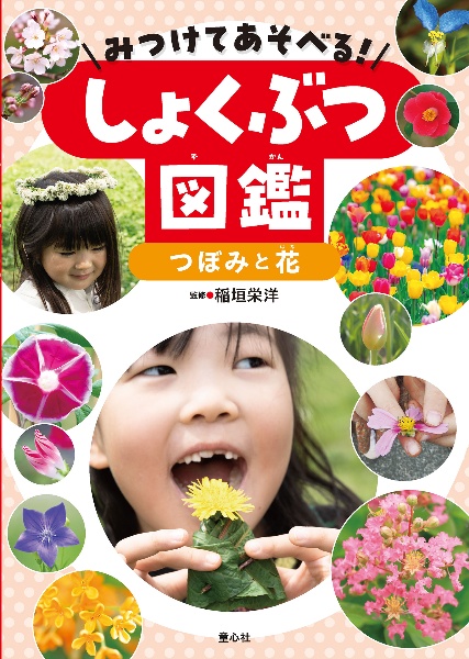 みつけてあそべる!しょくぶつ図鑑 つぼみと花