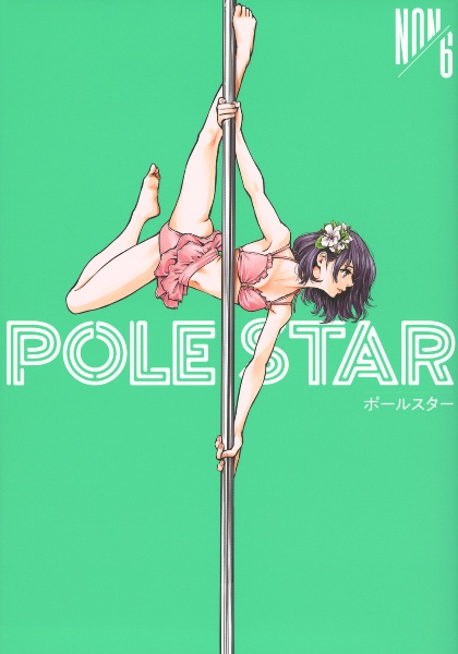 POLE STAR
