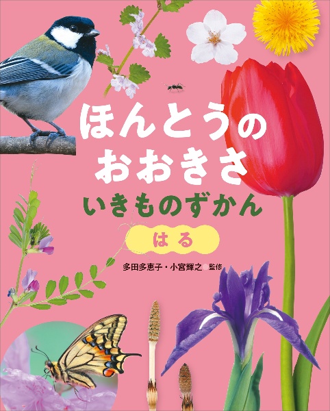 はる 図書館用堅牢製本