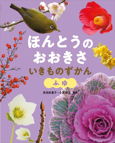 ふゆ 図書館用堅牢製本