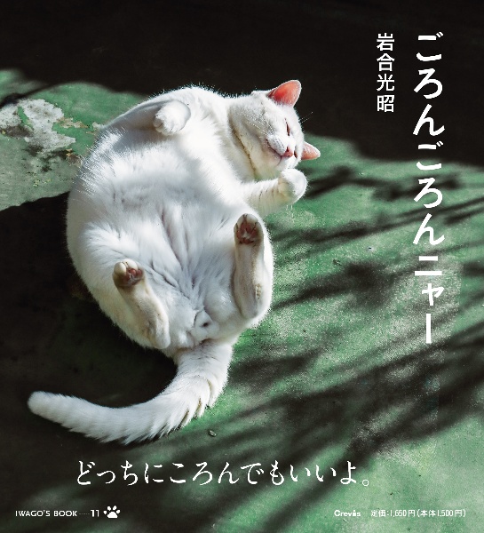 ごろんごろんニャー