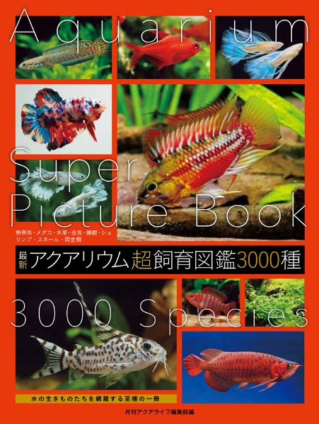 最新 アクアリウム超飼育図鑑 3000種/月刊アクアライフ編集部 - 販売
