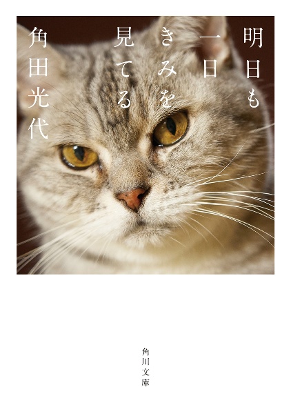 明日も一日きみを見てる