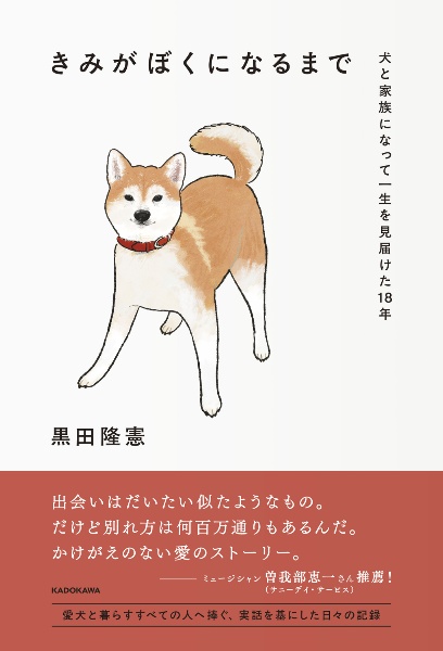 シューゲイザー・ディスク・ガイド/黒田隆憲 - 販売書籍｜TSUTAYA