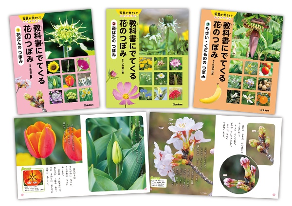 教科書にでてくる花のつぼみ(全3巻セット) 特別堅牢製本図書