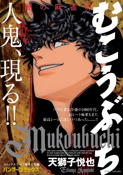 むこうぶち 闇の麻雀界