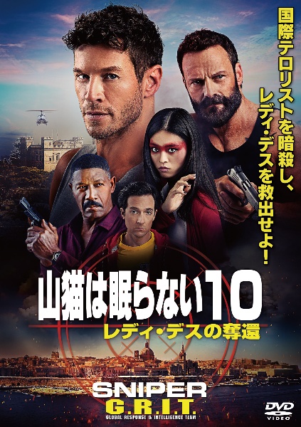 山猫は眠らない10 レディ・デスの奪還