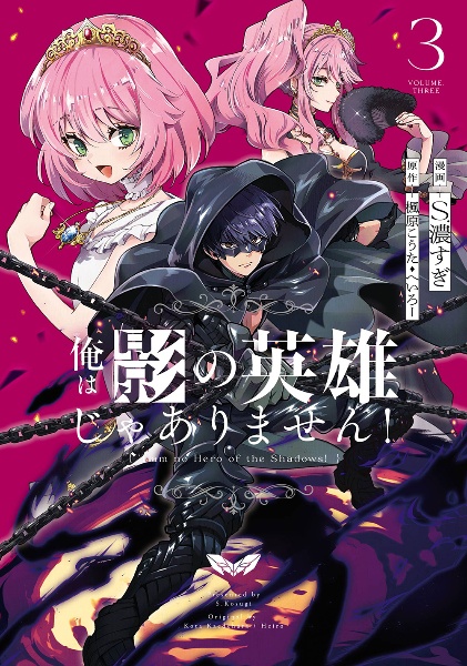 俺は影の英雄じゃありません!