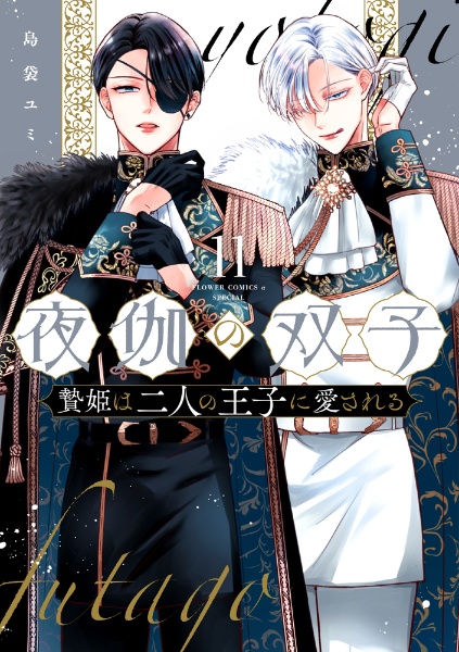 夜伽の双子 贄姫は二人の王子に愛される（11）