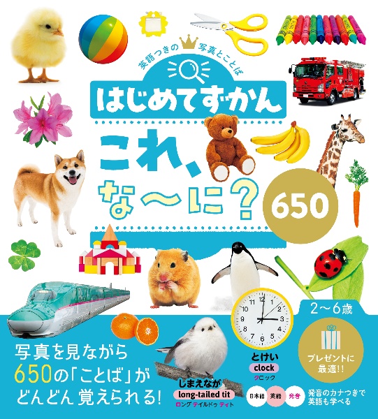 はじめてずかん これ、な~に? 650 写真を見ながら650の「ことば」がどんどんおぼえられる!