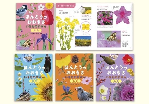 ほんとうのおおきさいきものずかん(4冊セット)