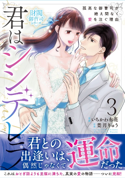 君はシンデレラ~孤高な御曹司が絶え間なく愛を注ぐ理由~【財閥御曹司シリーズ】（3）