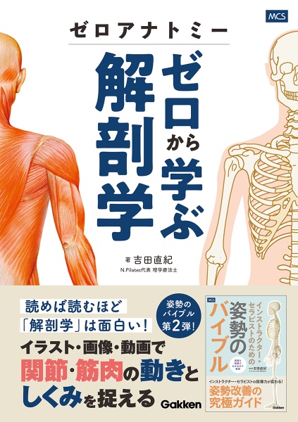 ゼロアナトミー ゼロから学ぶ解剖学/吉田直紀 - 販売書籍｜TSUTAYA
