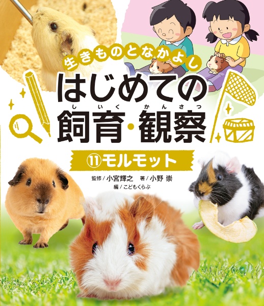 モルモット 図書館用特別堅牢製本図書