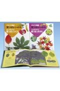 くらべて発見葉っぱの「いのち」(全2巻セット)