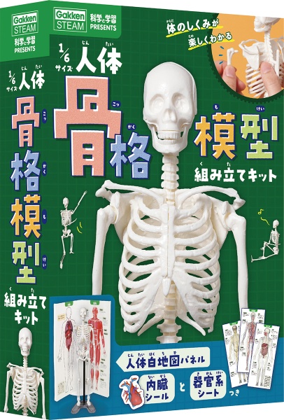 人体の正常機能と構造改訂第2版 カラー図解 人体の正常構造と機能 第2巻 循環器 【改訂第5版】 – 日本