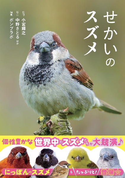 せかいのスズメ