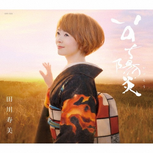 美空ひばり名曲集~歌いつがれるひばりメロディー~/田川寿美 - 販売CD