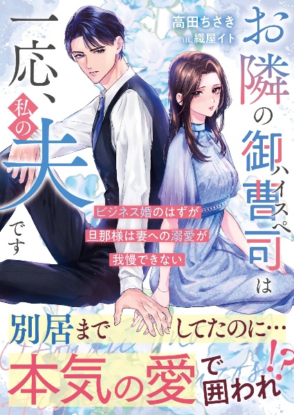 お隣のハイスペ御曹司は一応、私の夫です~ビジネス婚のはずが旦那様は妻への溺愛が我