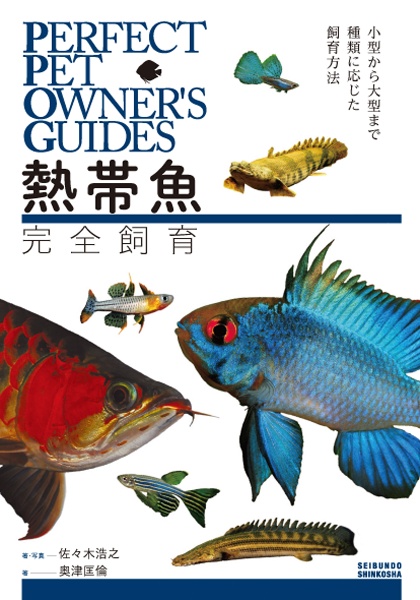 熱帯魚完全飼育 小型から大型まで種類に応じた飼育方法