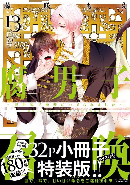 腐男子召喚~異世界で神獣にハメられました~<特装版> 描き下ろし32p