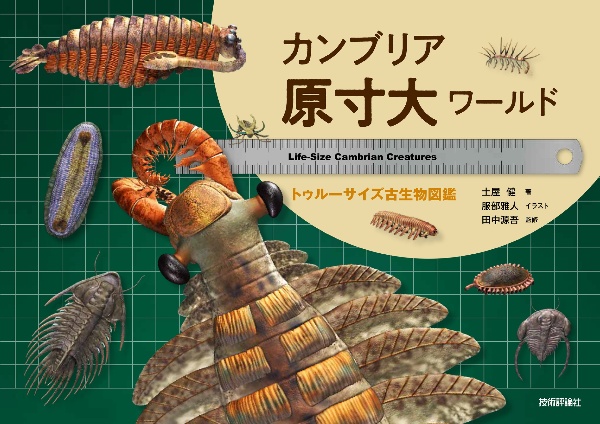 エディアカラ紀・カンブリア紀の生物 生物ミステリーPRO1/土屋健