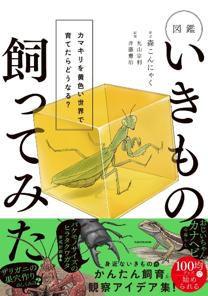 洋書　MANTODEA カマキリ いきもの飼ってみた!図鑑 カマキリを黄色い世界で育てたら、どうなる
