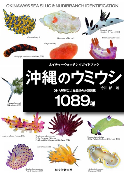 沖縄のウミウシ DNA解析による最新の分類図鑑1089種