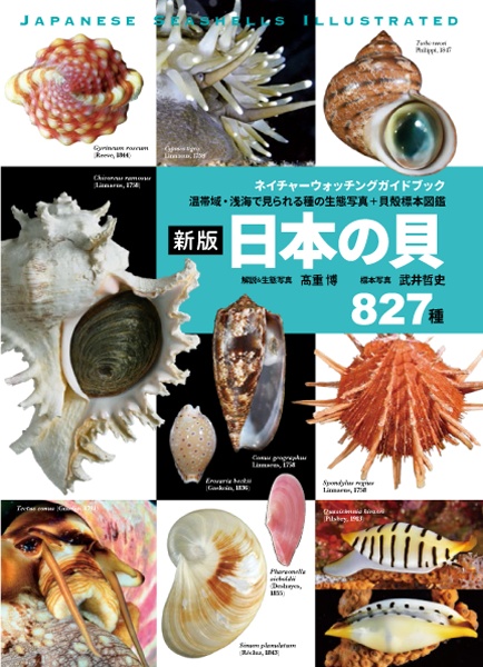 新版 日本の貝 温帯域・浅海で見られる種の生態写真+貝殻標本