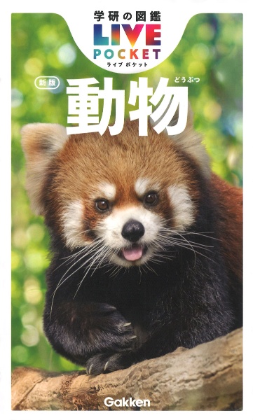 タヌキまるごとBOOK/今泉忠明 - 販売雑誌｜TSUTAYA レンタル・販売