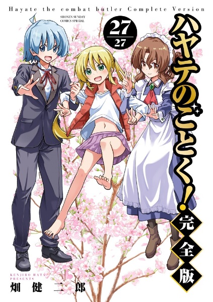 ハヤテのごとく!<特装版> 他人の画集付（29）/畑健二郎 - 販売コミック