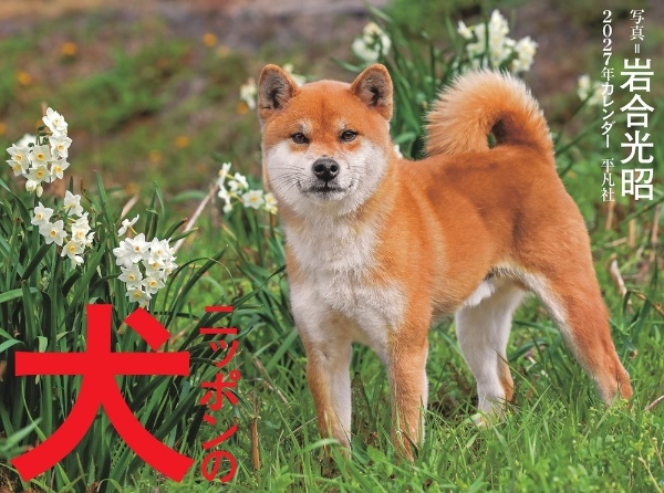 2027年カレンダー ニッポンの犬